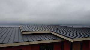 Best Skylight Installation and Repair  in Nikiski, AK